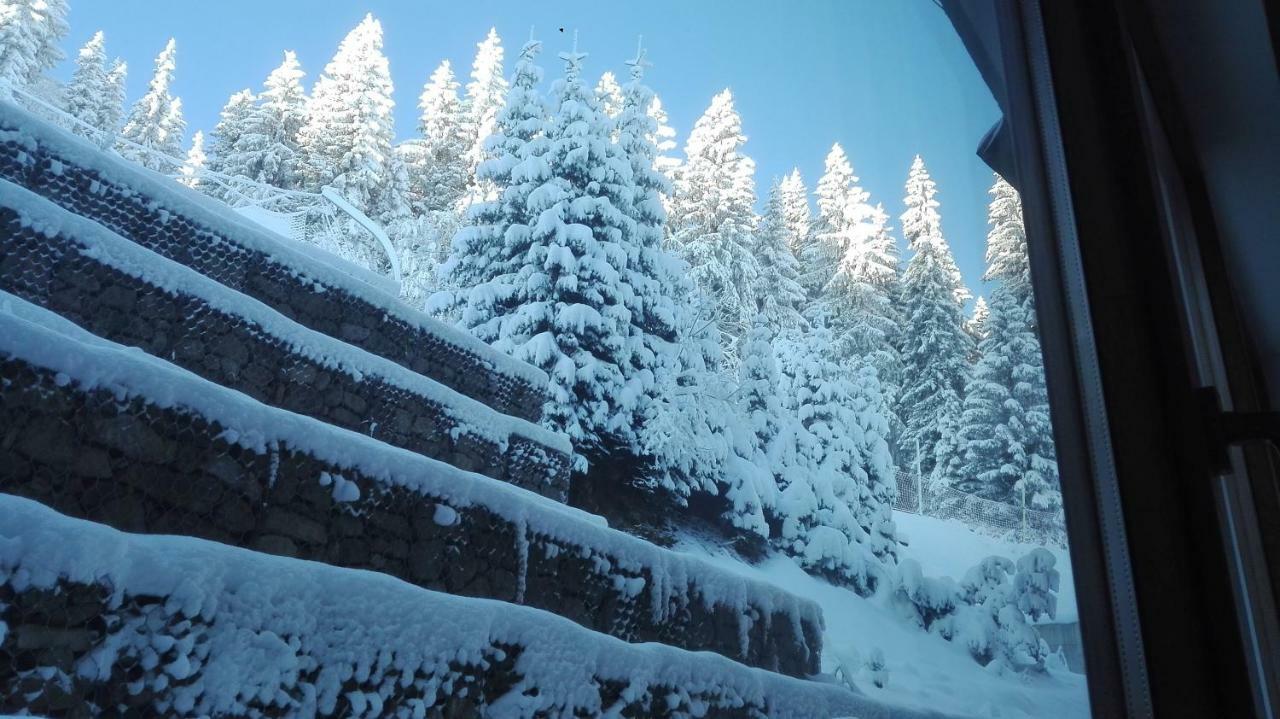 Apartments In Complex Grand Manastira Пампорово Екстериор снимка